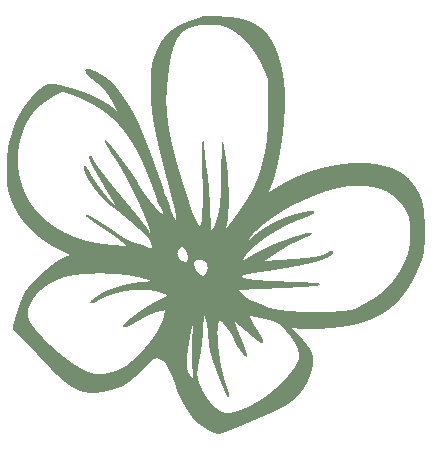 Artenreich_Blüte_v01